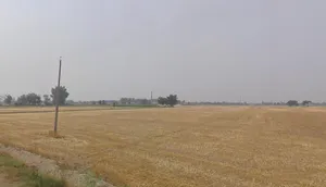Devigarh Rd, Sunny Enclave, Raymajra, Punjab 147103, India preview 2
