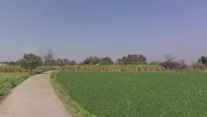 Atora, Uttar Pradesh 250401, India preview 2