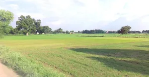 Naini, Prayagraj, Uttar Pradesh, India preview 3