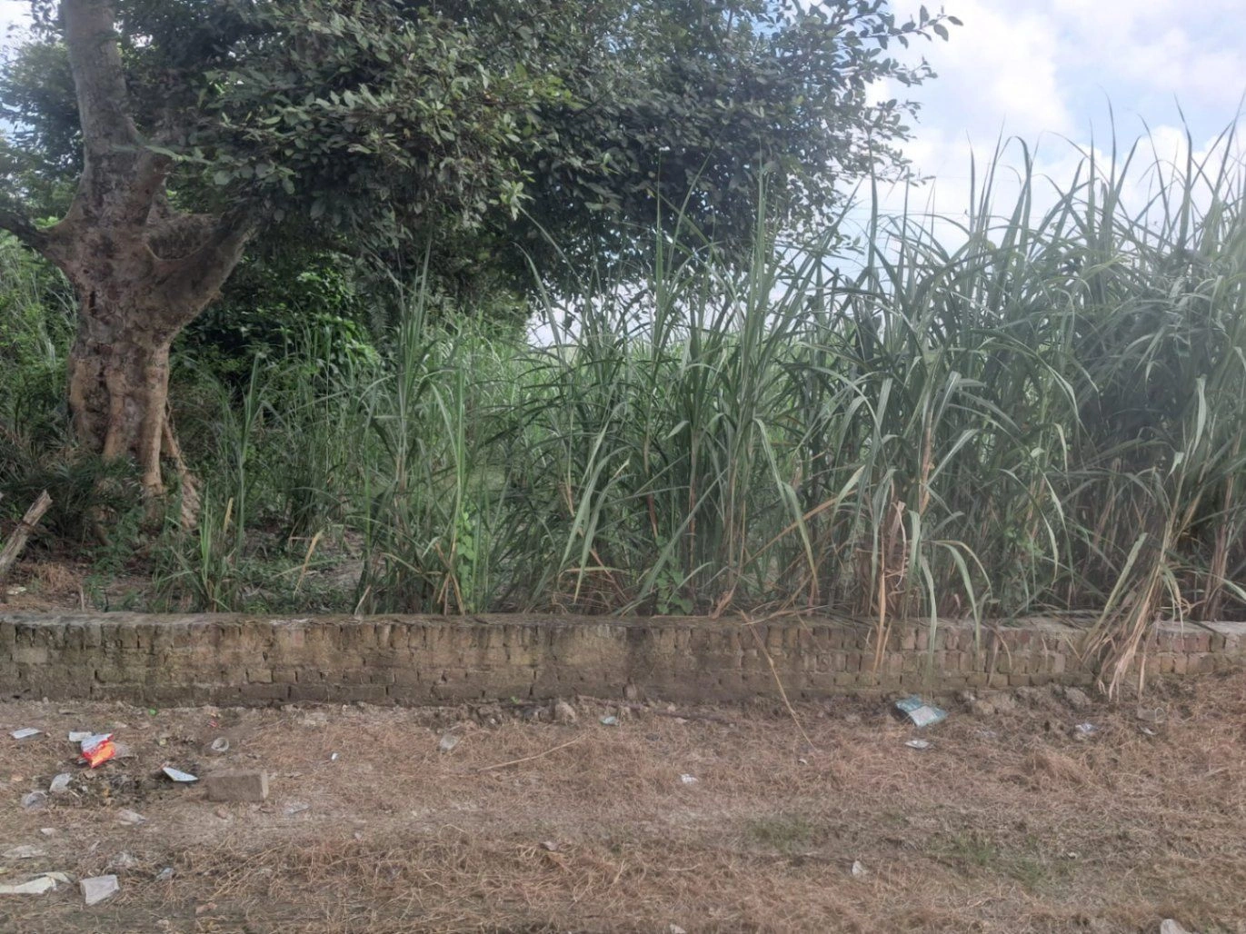 P5HR+265, Ayodhya, Kishundas Pur, Firozpur, Uttar Pradesh 224133, India