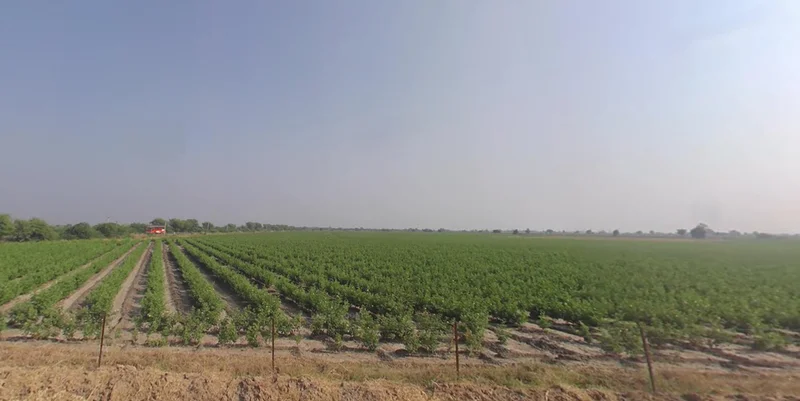 5XCR+MJ Kaliyana, Gujarat, India preview 3