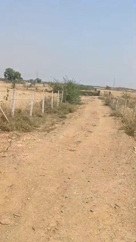 RWQ9+8H Chak Mulajman, Bikaner, Rajasthan, India
