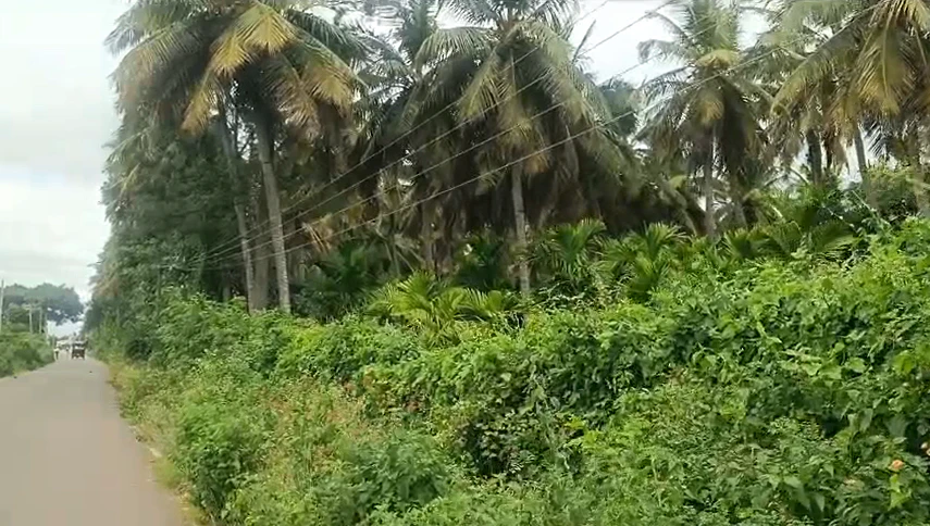 Meghalapura, Karnataka 571130, India