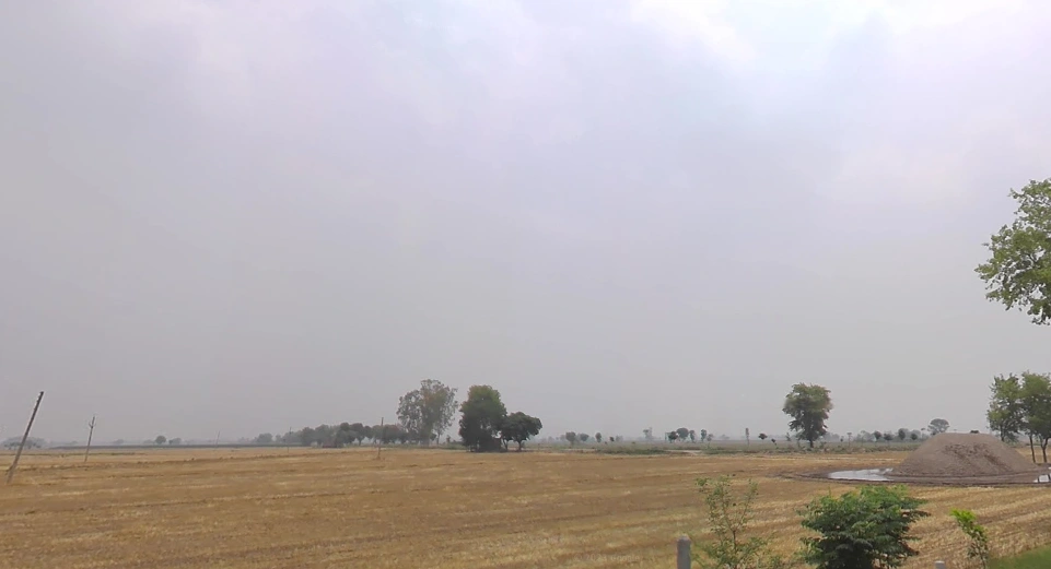 Devigarh Rd, Sunny Enclave, Raymajra, Punjab 147103, India