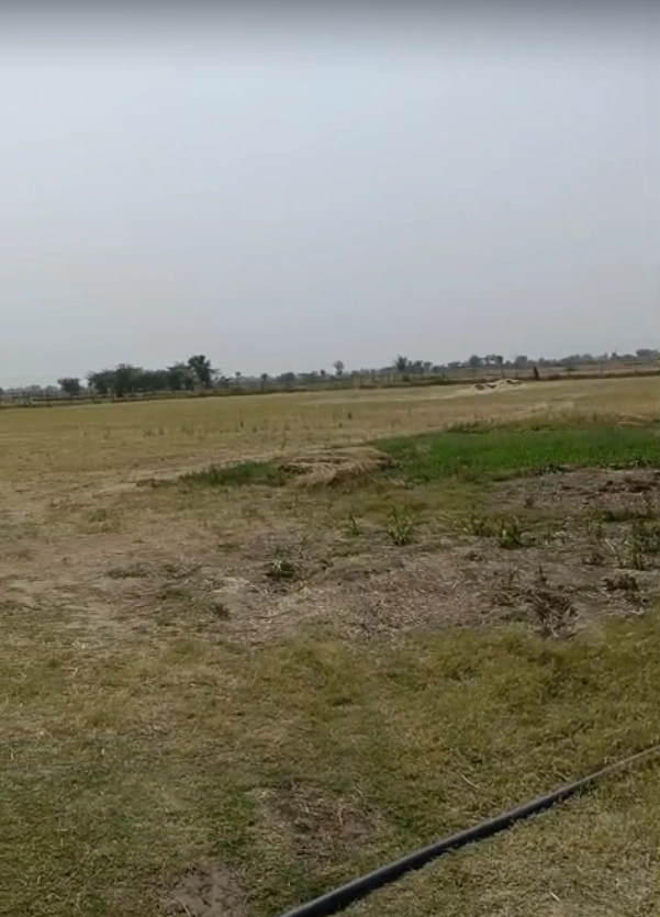 555 & 556, Distt, Mahela, Nasnoda, Jaipur, Rajasthan 303007, India