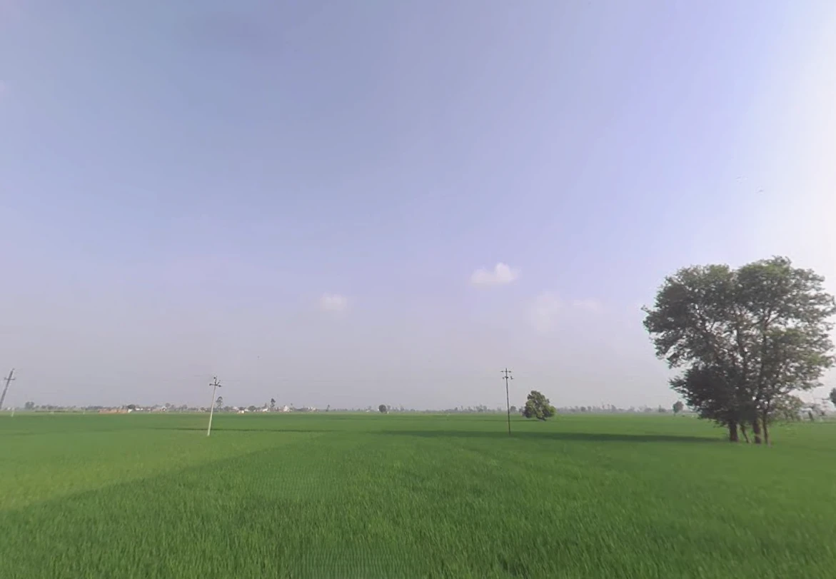 Kaithal, Haryana 136027, India