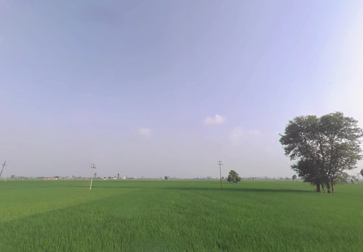 Kaithal, Haryana 136027, India