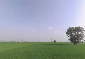 Kaithal, Haryana 136027, India preview 2