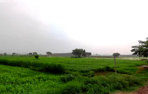 Israna, Haryana 132107, India preview 2