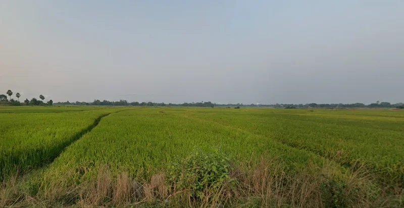 Beliatore, West Bengal 722203, India preview 3