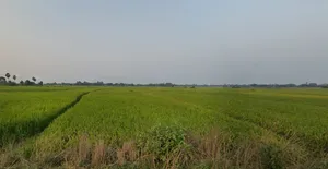 Beliatore, West Bengal 722203, India preview 3