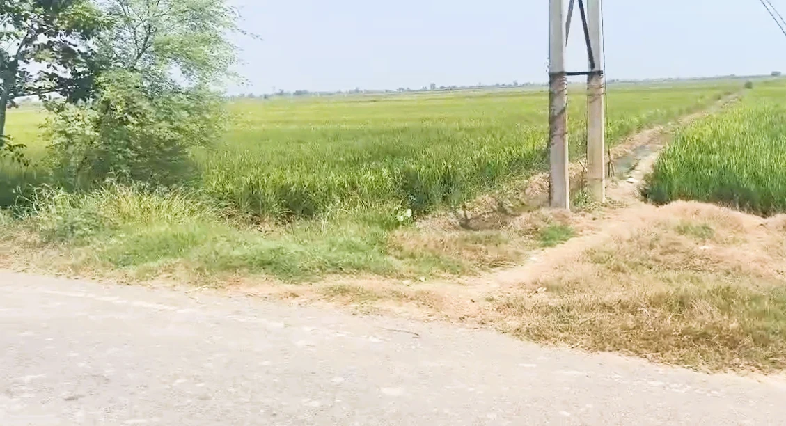 Patwapur, Rohtak, Haryana 124411, India