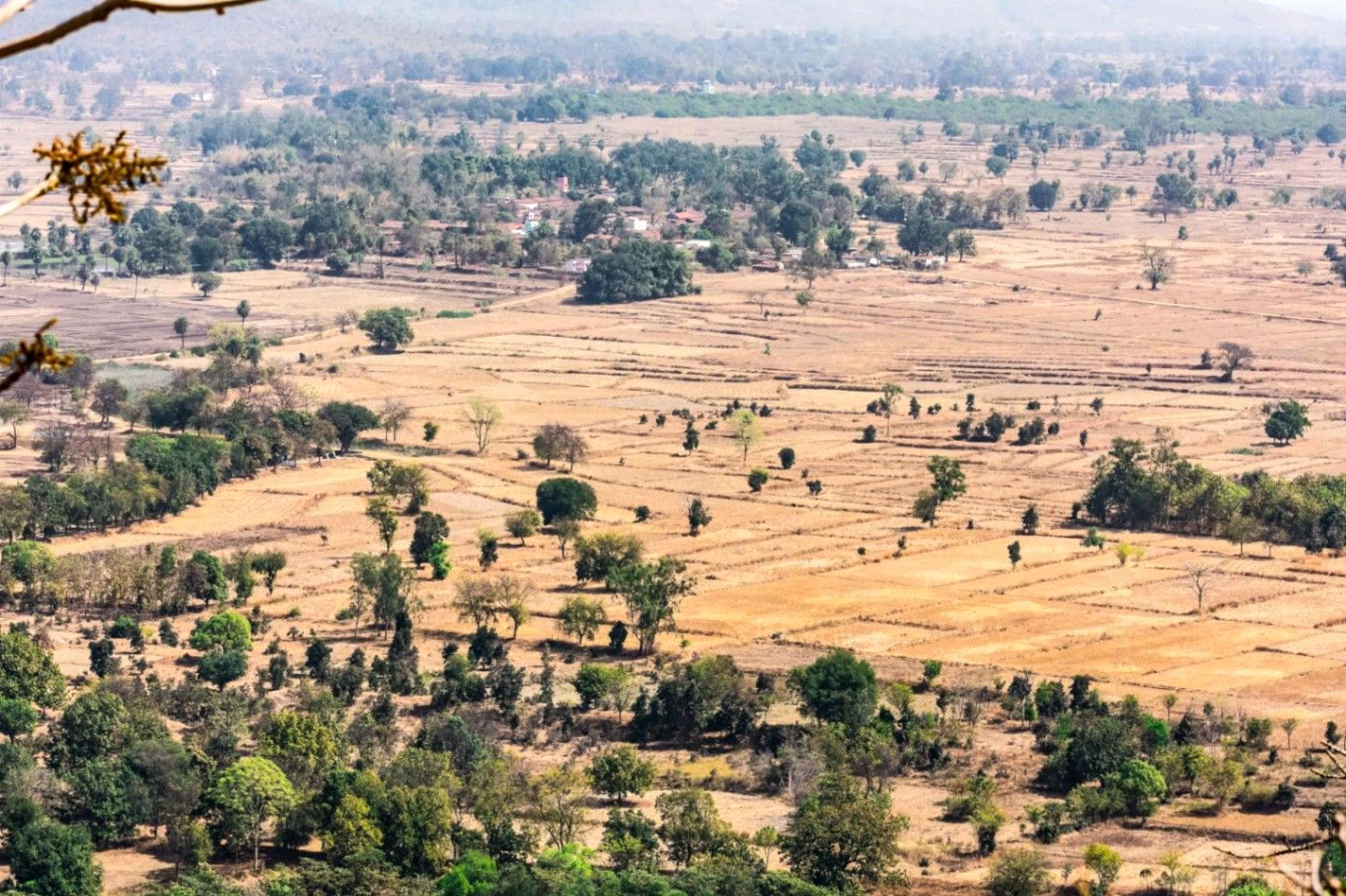 VCM4+J4W, Gurha Barsal, Rajasthan 303338, India