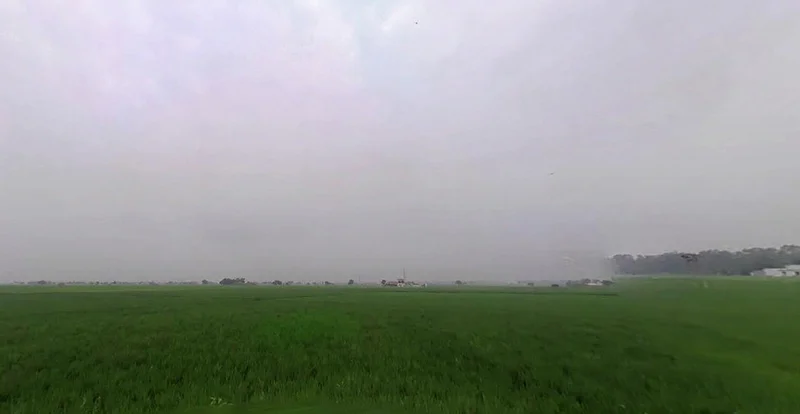 Pharal, Haryana 136021, India preview 2