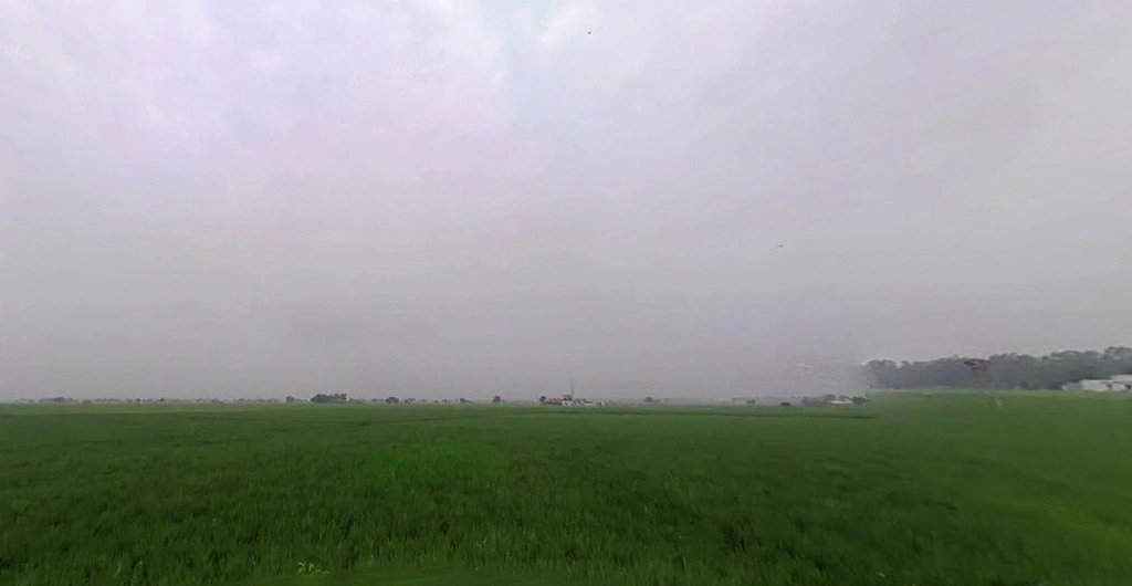 Pharal, Haryana 136021, India