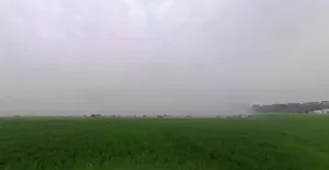 Pharal, Haryana 136021, India preview 2