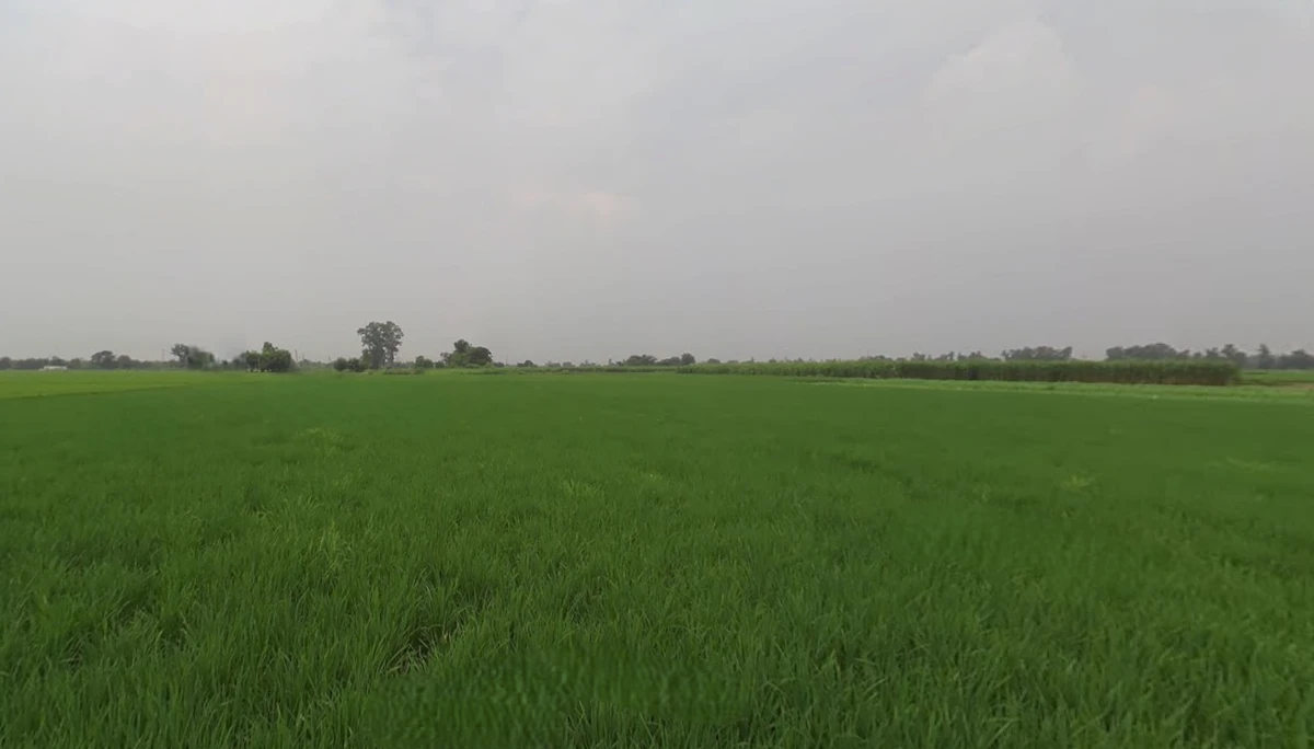 Katani Kalan, Punjab 141113, India