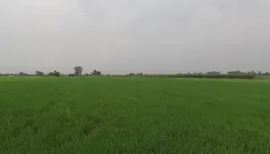 Katani Kalan, Punjab 141113, India preview 3