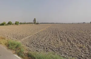 Satbatia, West Bengal, India preview 3