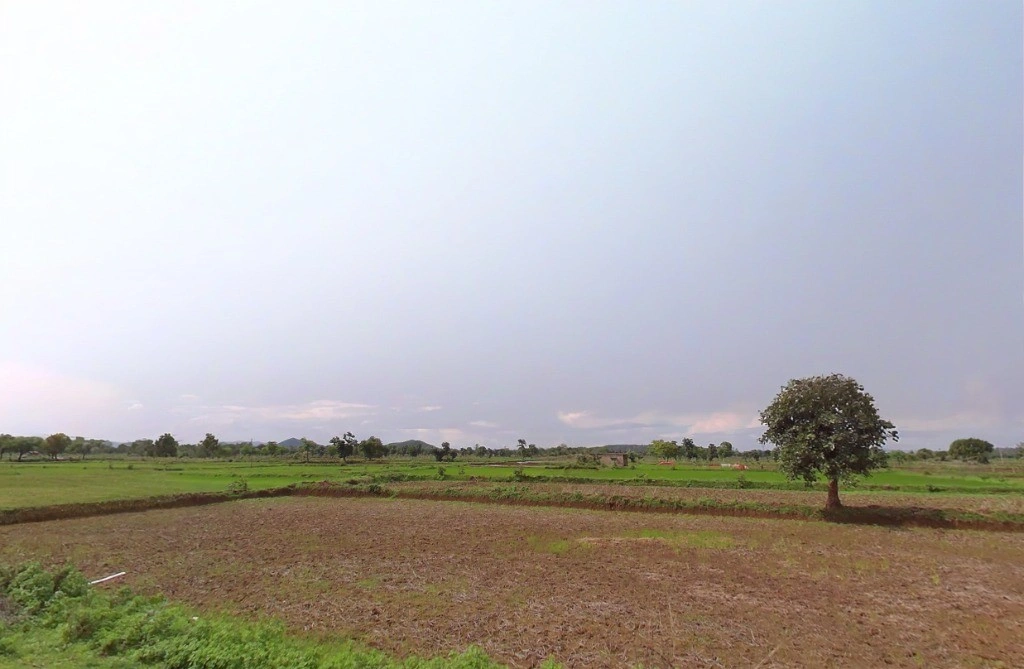 Kalartarai, Chhattisgarh 495113, India