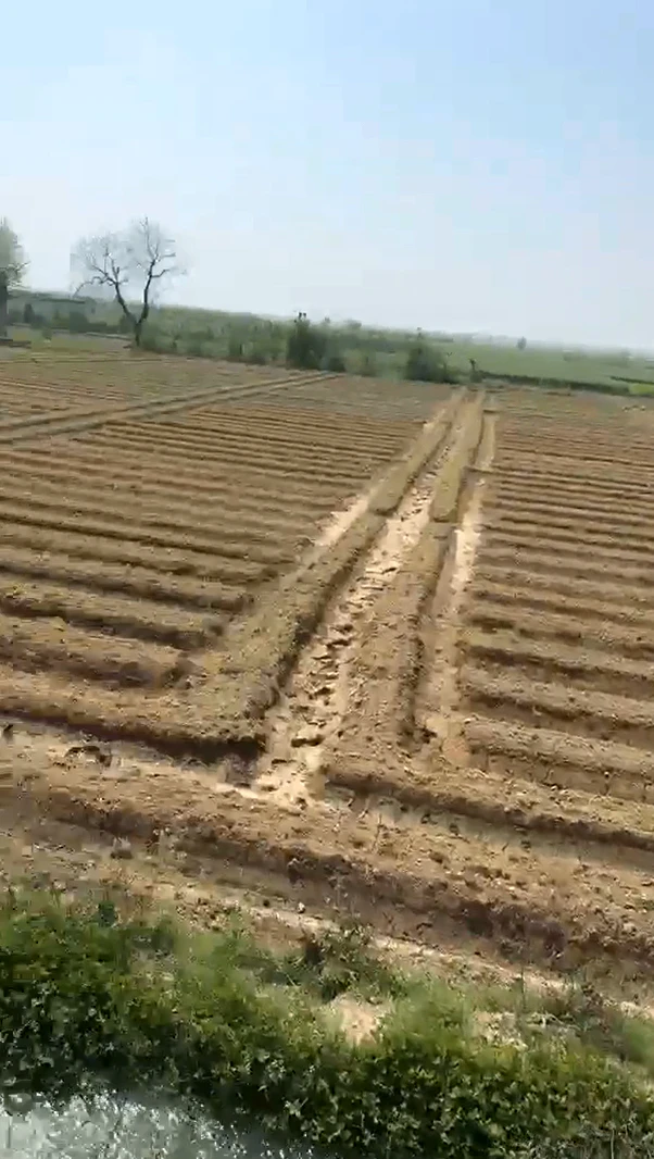 33R5+V7W, Aligarh, Barauli, Uttar Pradesh 202126, India