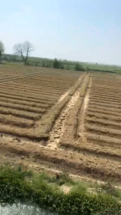 33R5+V7W, Aligarh, Barauli, Uttar Pradesh 202126, India preview 2