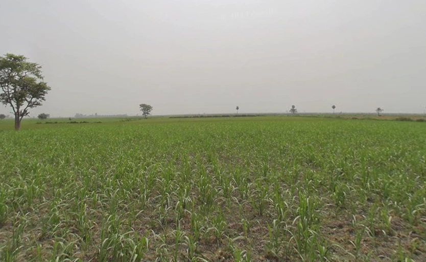 Hastinapur, Uttar Pradesh 250404, India