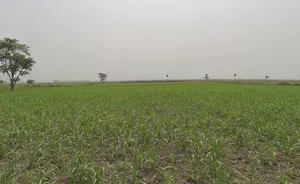 Hastinapur, Uttar Pradesh 250404, India preview 2
