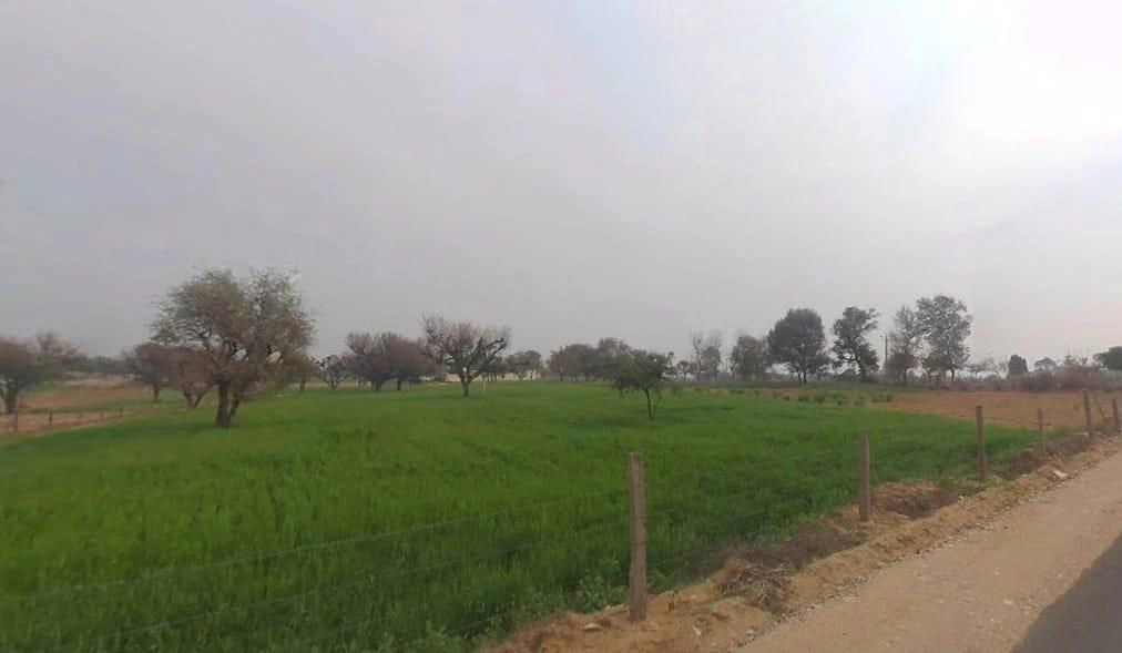 8C76+VXV, Lamiyan, Rajasthan, India