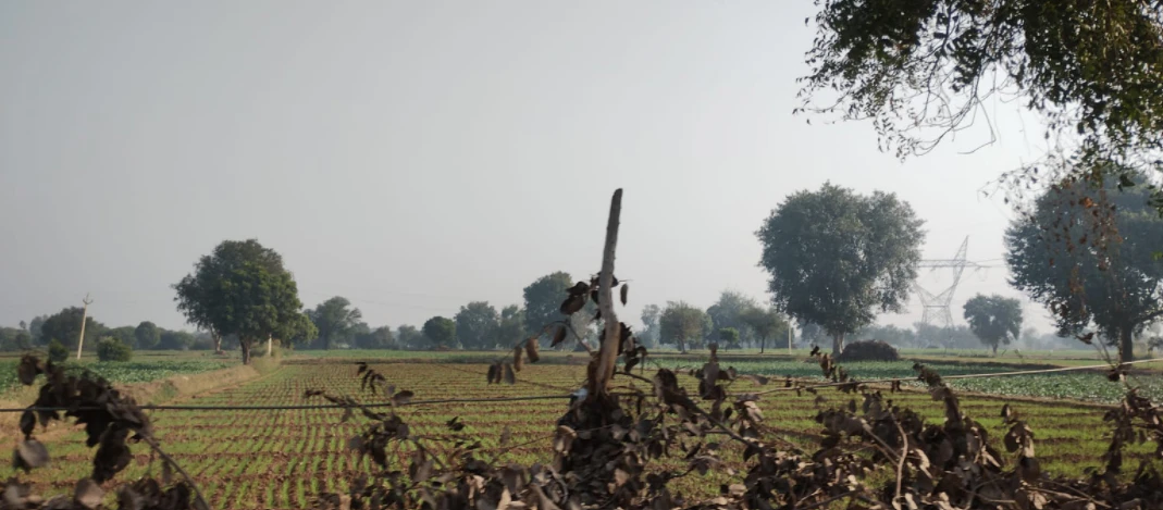 Dhapewada, Kalmeshwar, Maharashtra 441501, India