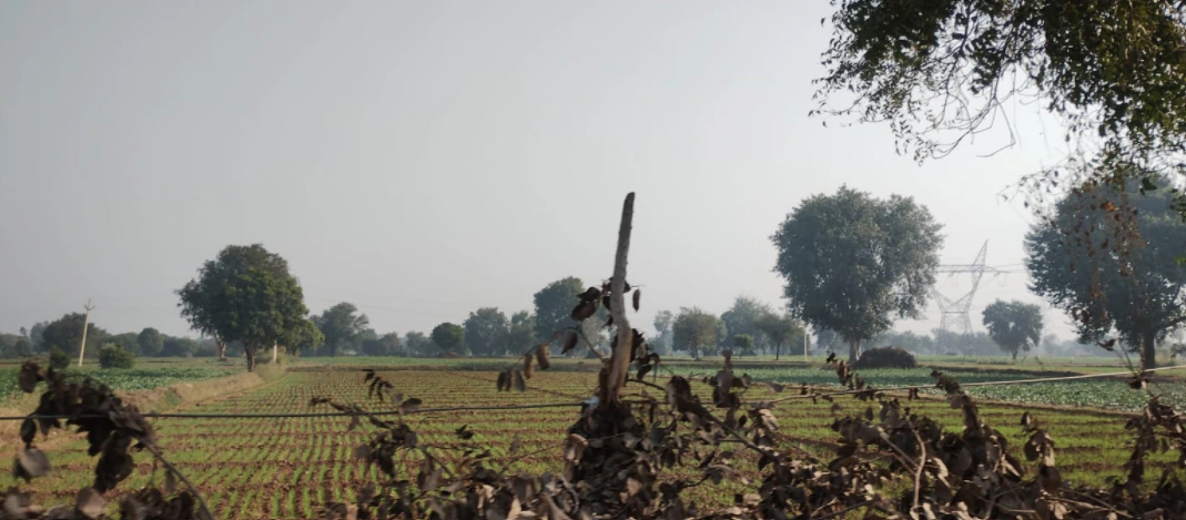 Dhapewada, Kalmeshwar, Maharashtra 441501, India