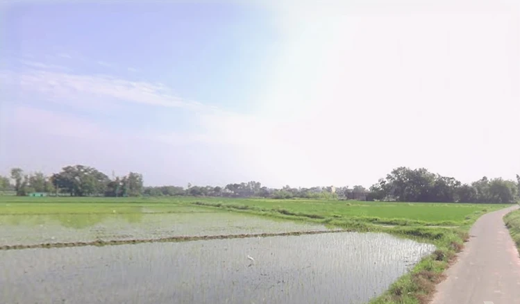 Patiala - Devigarh Rd, Panjeta, Bhunarheri, Punjab, India