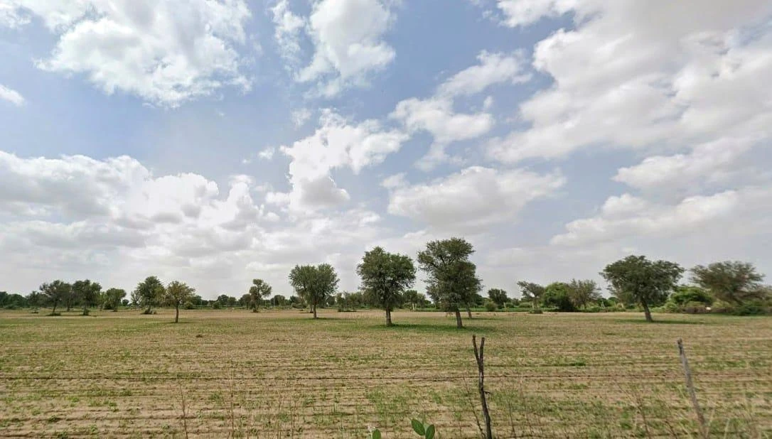 Sherpura, Rajasthan 334604, India