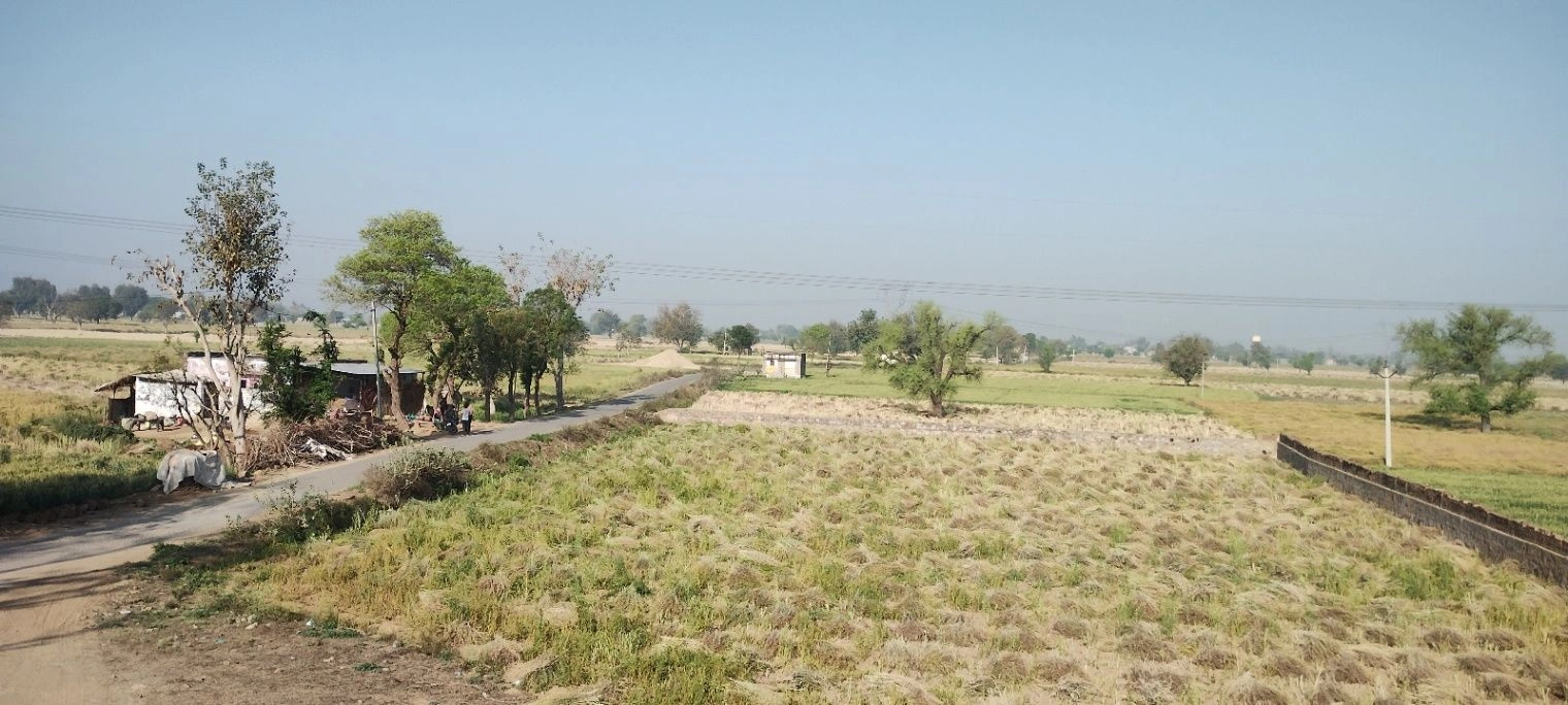 Deenar, Rajasthan 301021, India preview 2