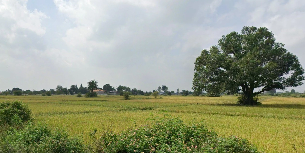 DewanGanj, Madhya Pradesh 464651, India