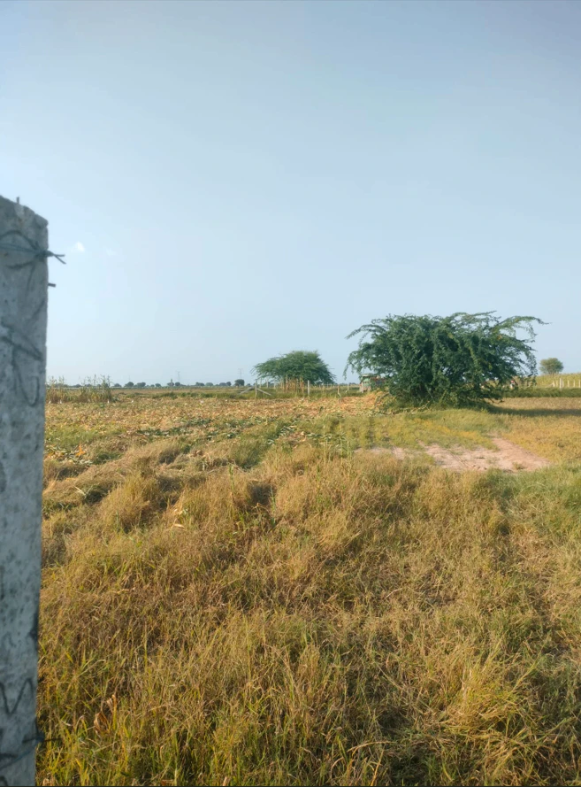 MG57+PQV, Jaipur, Awandiya, Rajasthan 303005, India