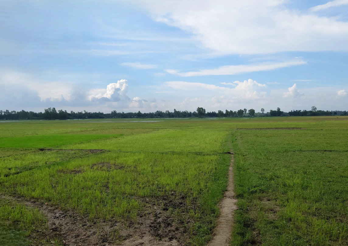 Panbu, Yangmakum, Kalimpong, Yang Makum Khasmahal, West Bengal 734301, India