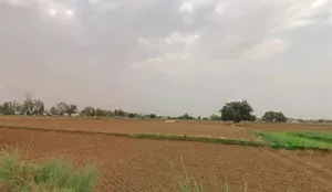 Bhiwadi, Rajasthan 301019, India preview 2