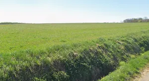 Rania, Uttar Pradesh, India preview 2