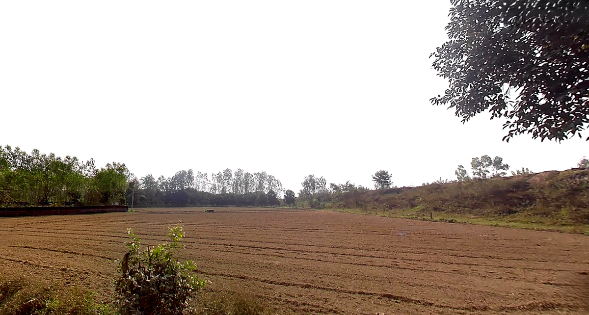 Telpura, Uttarakhand 247662, India