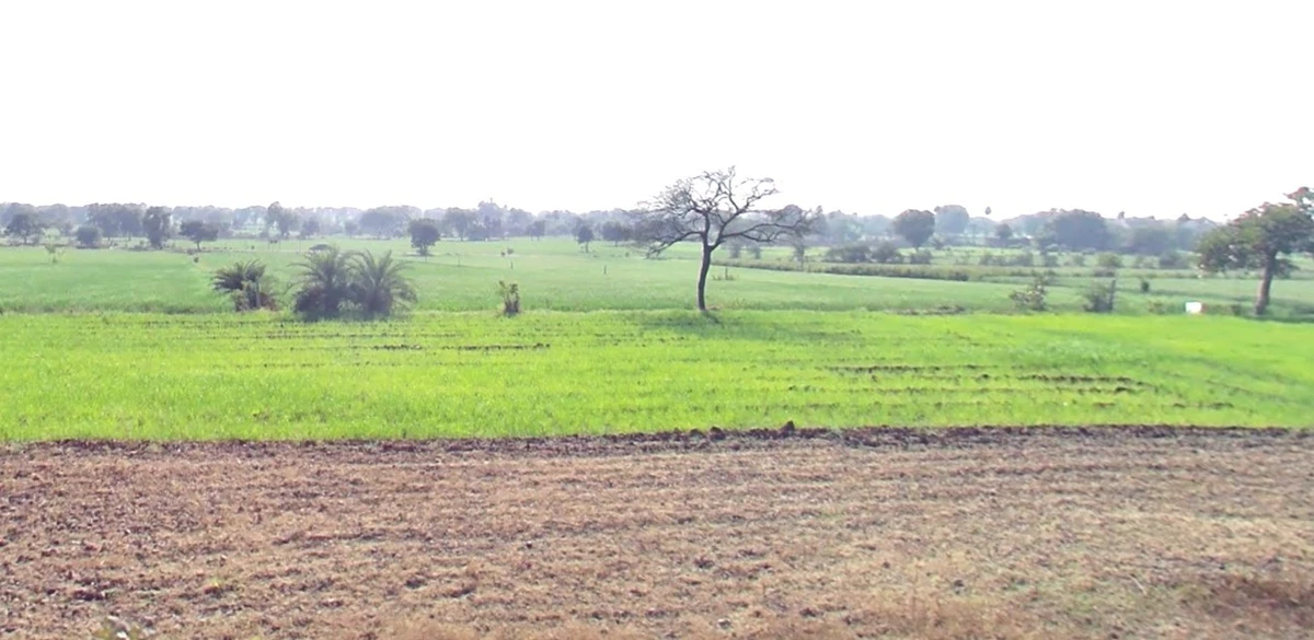Lakhnadon, Madhya Pradesh 480886, India