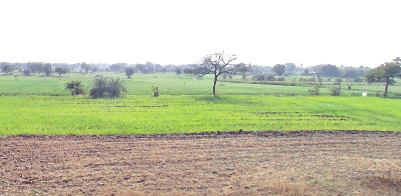 Lakhnadon, Madhya Pradesh 480886, India