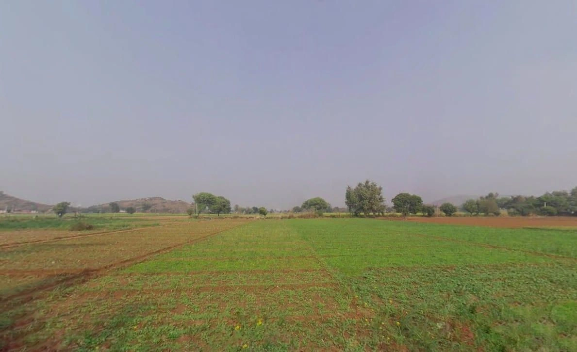 Dholi Pahari, Rajasthan 301707, India