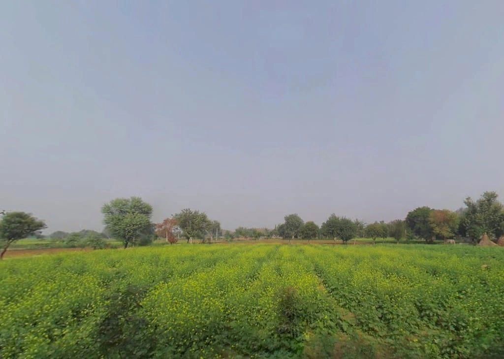 Untwal, Rajasthan 301028, India