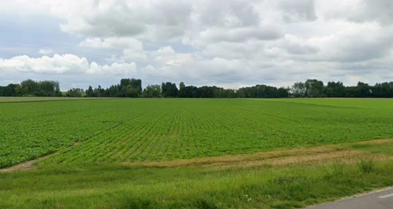 Brahman Pipalya, Madhya Pradesh, India preview 2