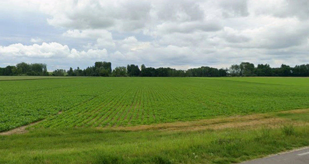 Brahman Pipalya, Madhya Pradesh, India
