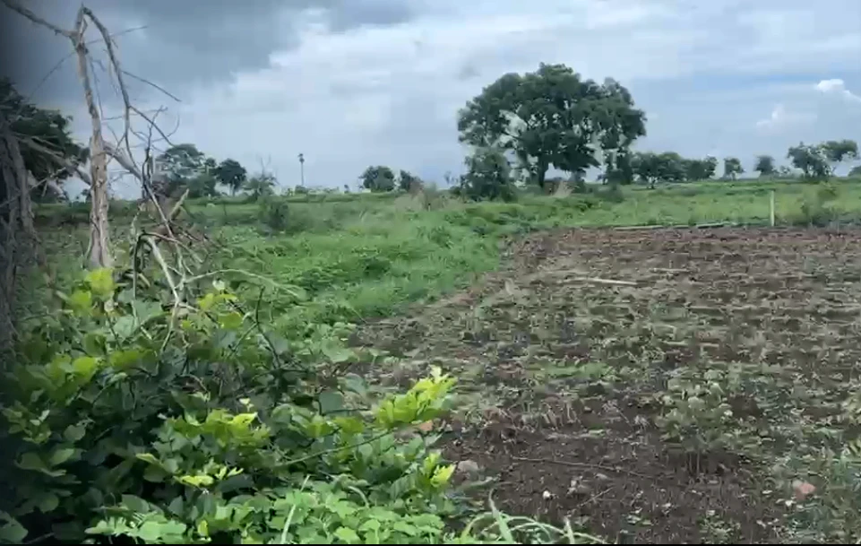 9PMW+PGM, Vikarabad, Tandur - Mominpet Rd, Kotpalli, Telangana 501106, India