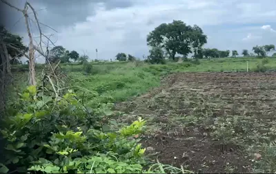 9PMW+PGM, Vikarabad, Tandur - Mominpet Rd, Kotpalli, Telangana 501106, India preview 2