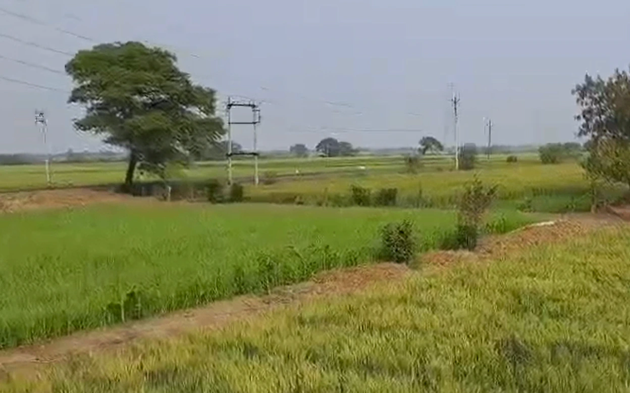 Sala Khedi, Ratlam, Madhya Pradesh 457001, India