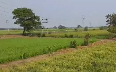 Sala Khedi, Ratlam, Madhya Pradesh 457001, India preview 3
